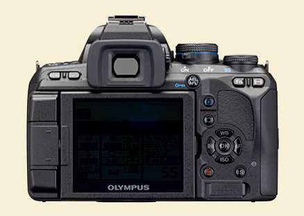 Olye620back