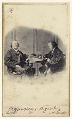 Picture 28
