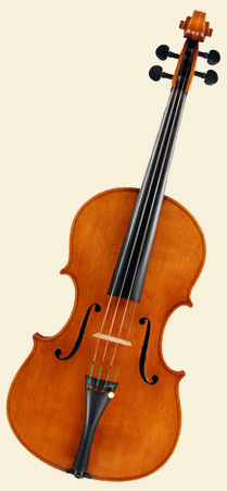 Viola