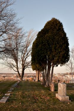 Cemetery