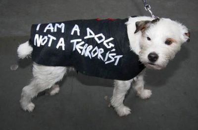 Protest-2