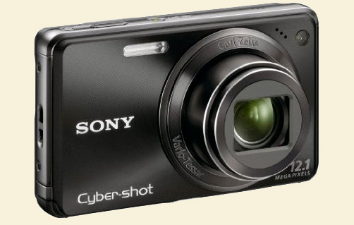Sonyw290