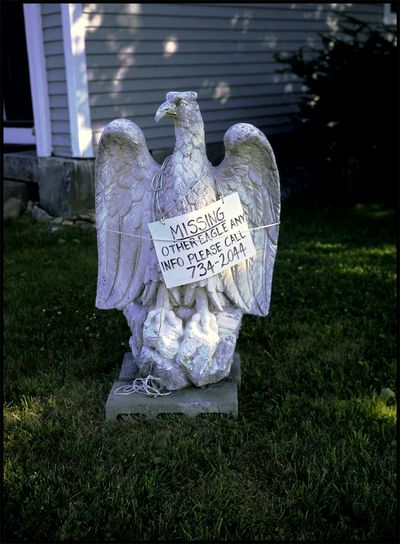 MissingEagle800 copy