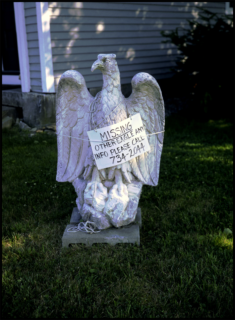 MissingEagle800 copy