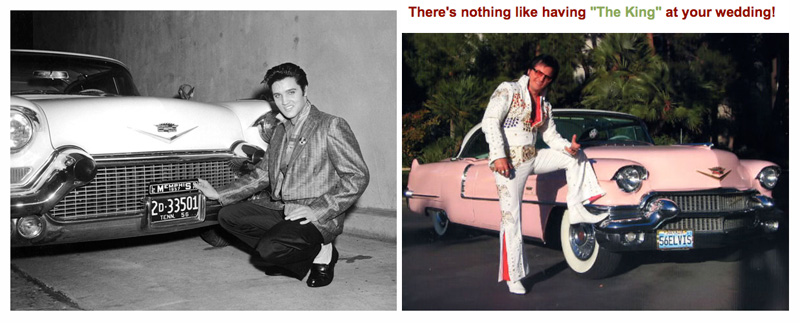 Elvises