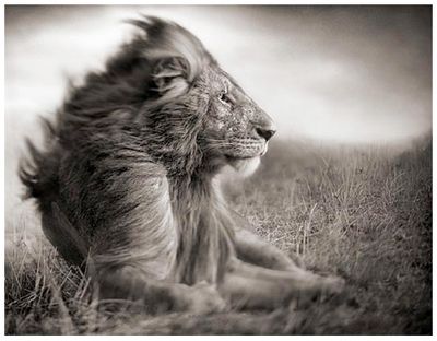 Africabooks-2