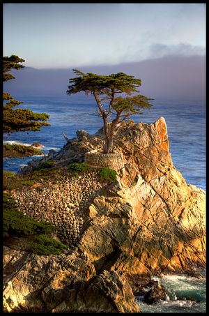 Pebble