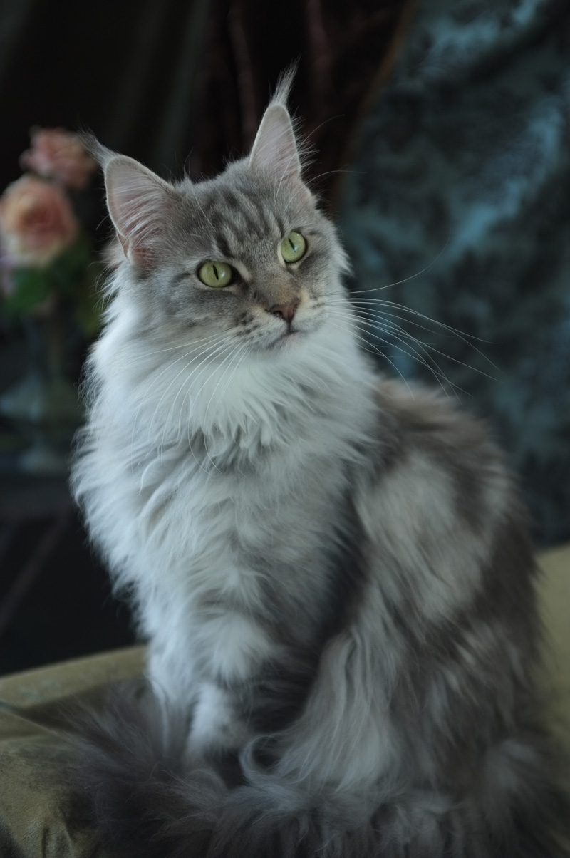 Fujisample