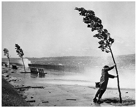 Wind