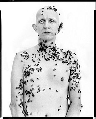Avedon