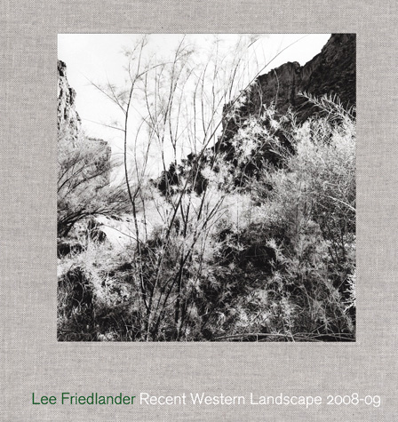 Friedlander-2