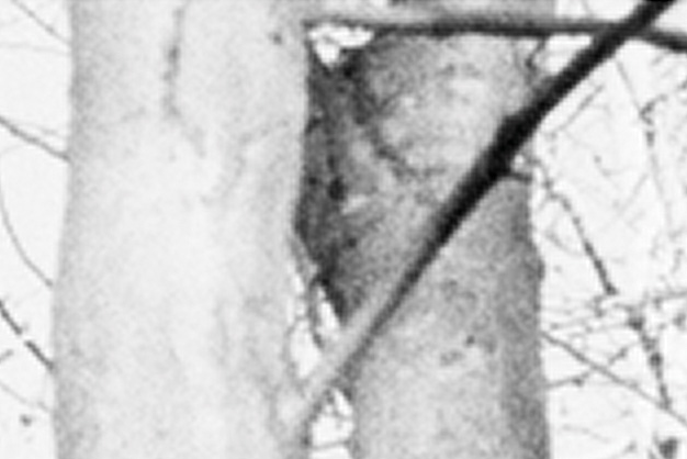 Blog178figure1