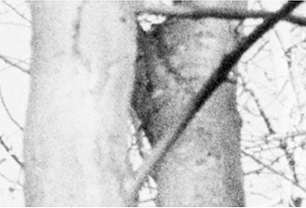Blog178figure2