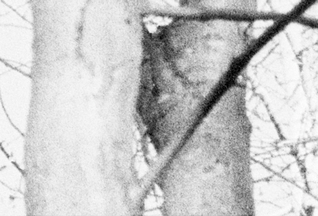Blog178figure3