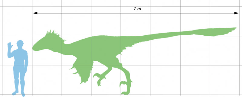 Utahraptor