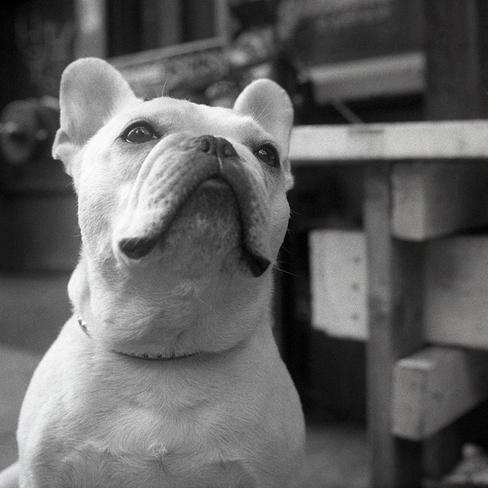 Marcel