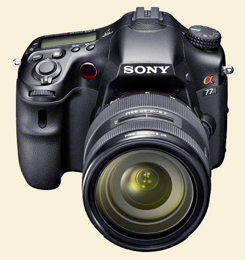 Sonya77