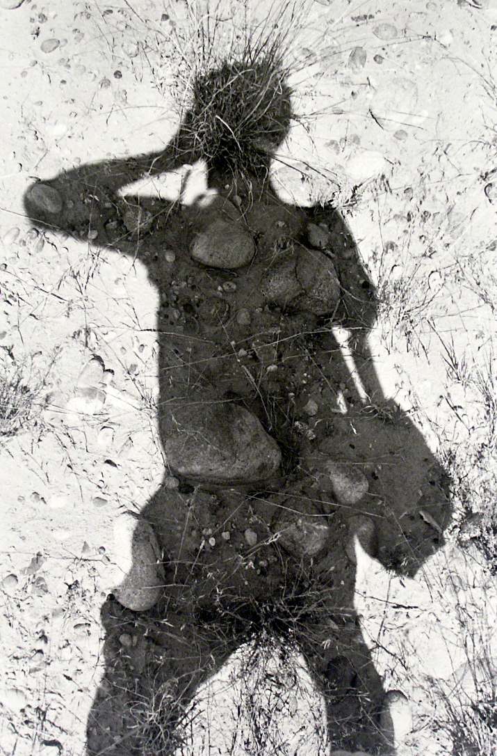 Friedlandershadow