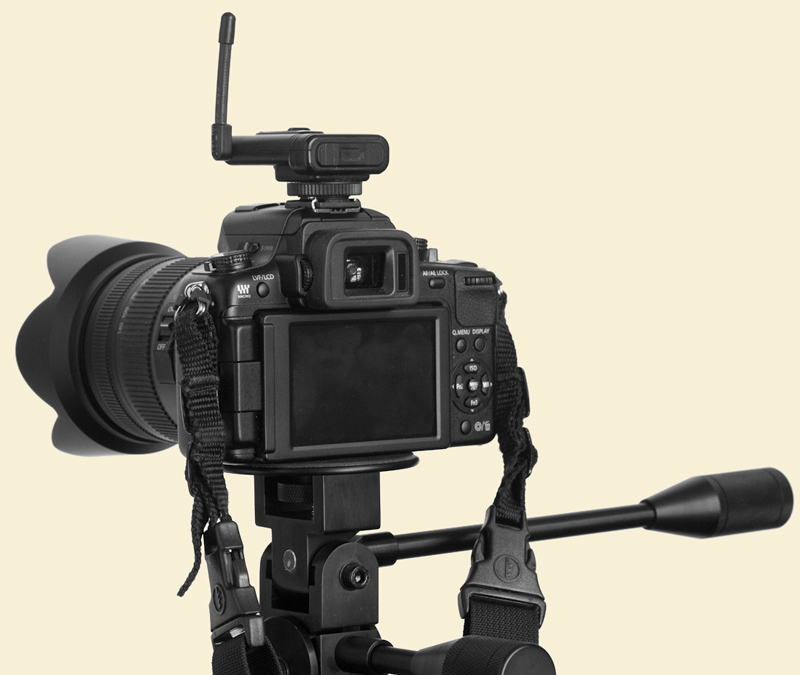 GH2 back view kirk tuck