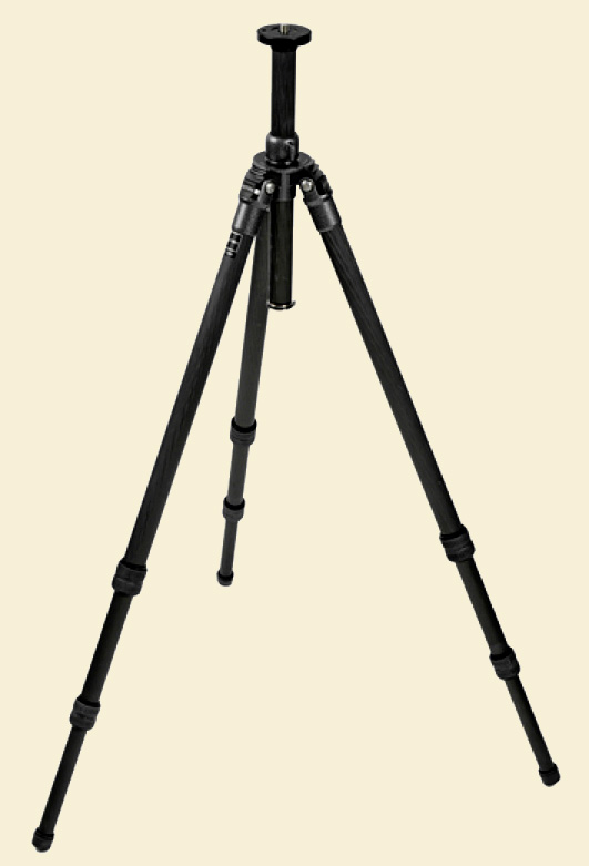 Gitzo2531