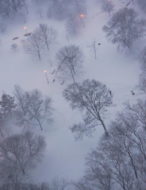 Tanakafirstsnow