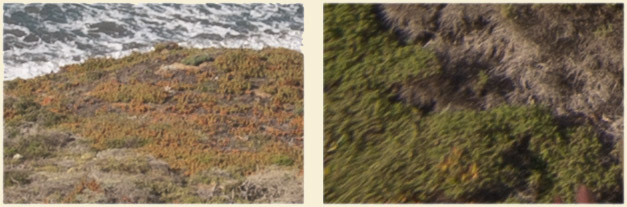 Blog223figure5