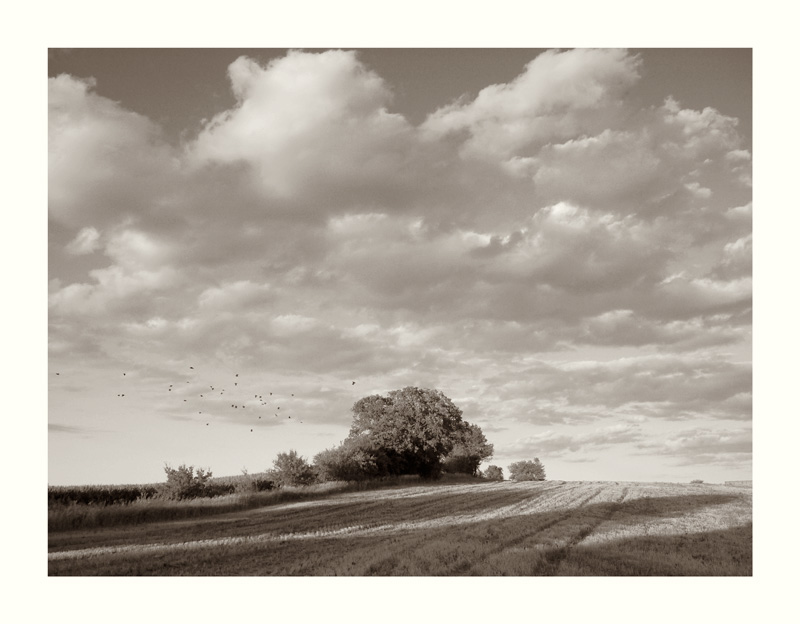 BWSteveLincoln