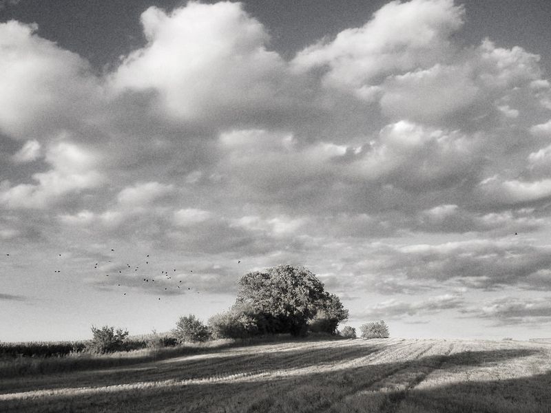 BWSimonCrofts