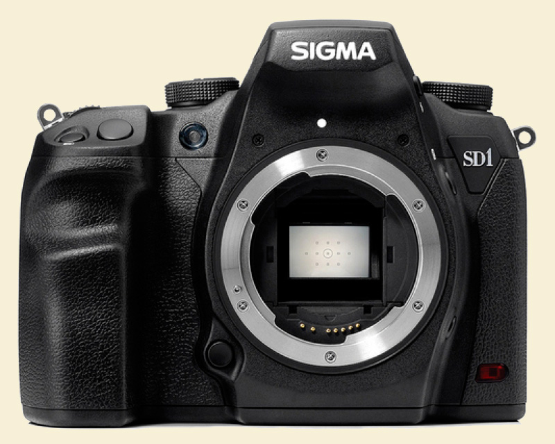 Sigmasd1merrill