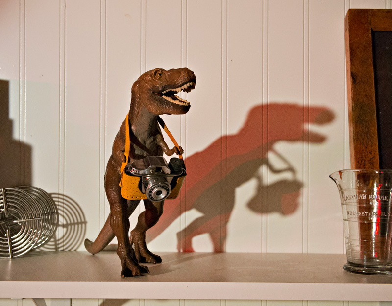 Filmdinosmall