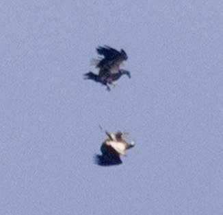 Blog262figure4