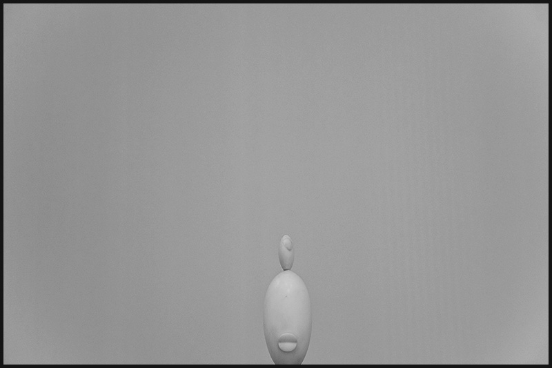 WTD-small-2
