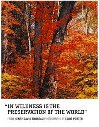 Porterinwildness