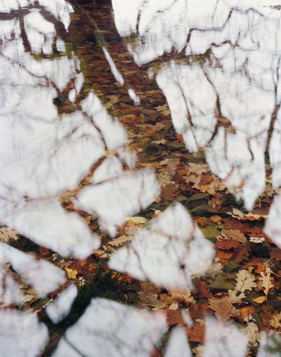 Hltimparkin