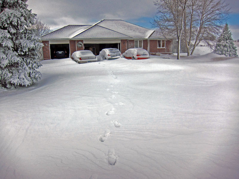 TOP-Snow-2