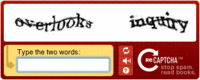 Recaptcha-example