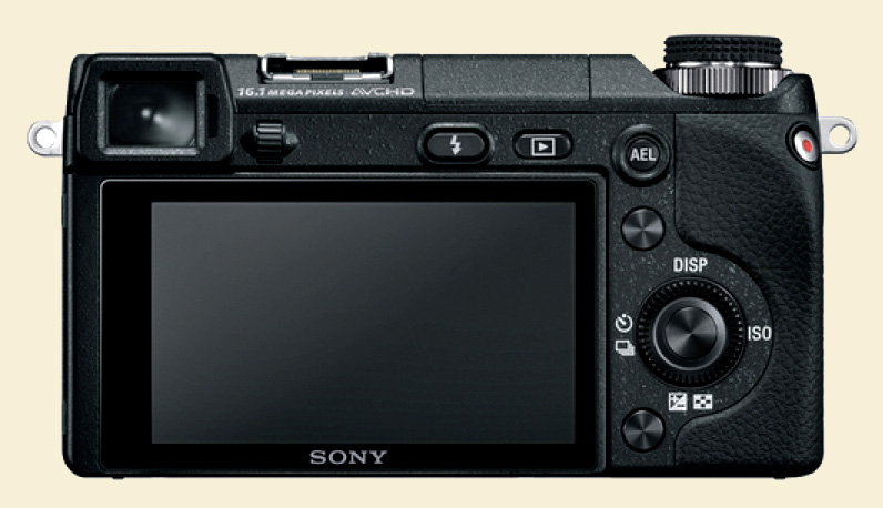 Sonynex6-2
