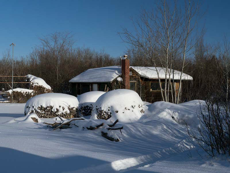Woodpiles and workshop-1