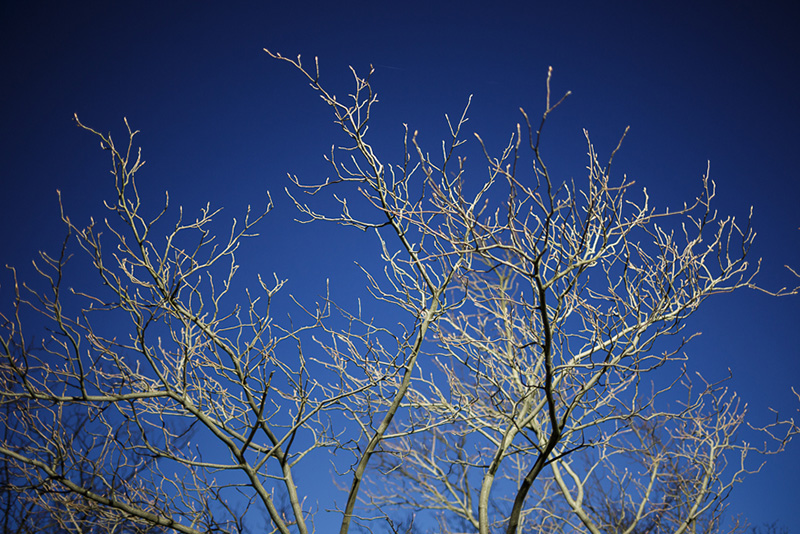 011013_35MM_44