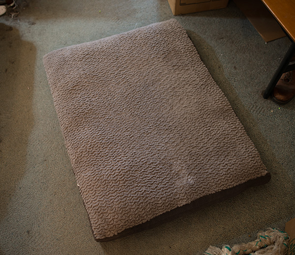 Vacuum-1