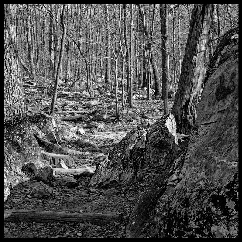 Gastwirth-andrew-sugarloaf-mtn
