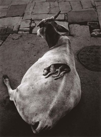 Sammallahti-3