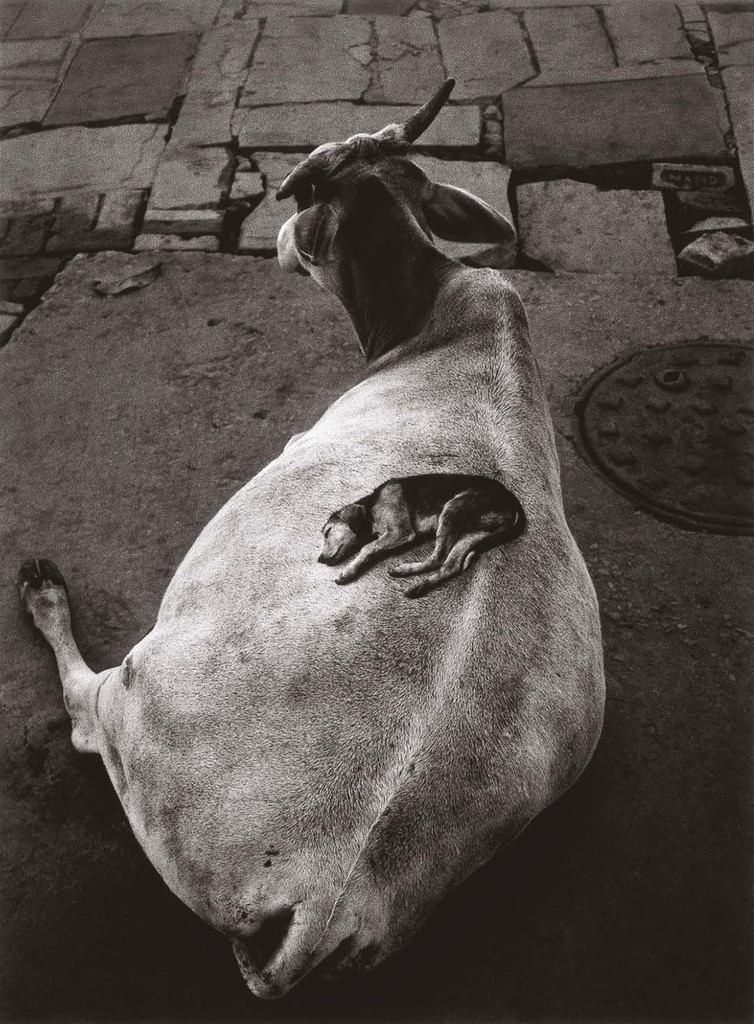 Sammallahti-3