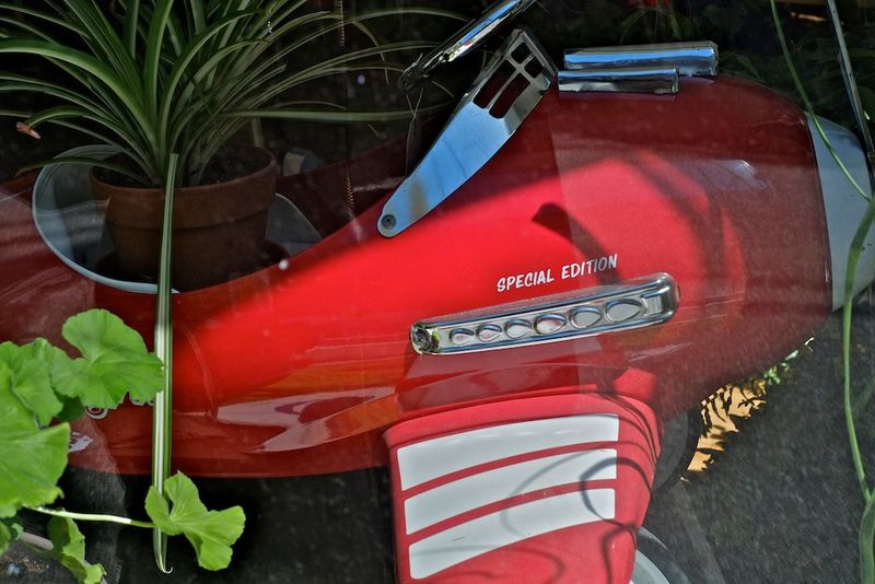 Toy plane in antique store jungle