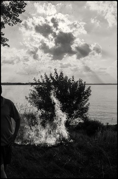 Burningbrush-2