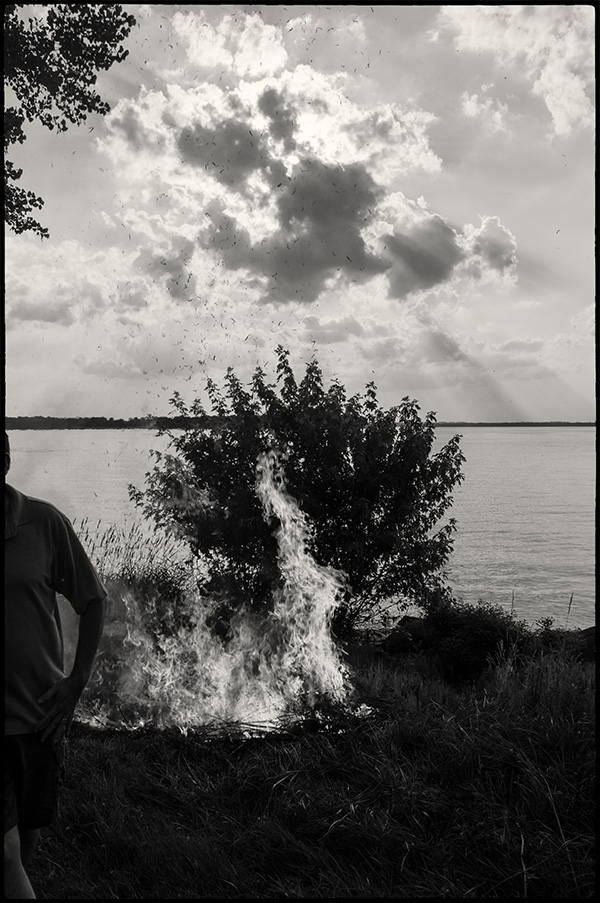 Burningbrush-2