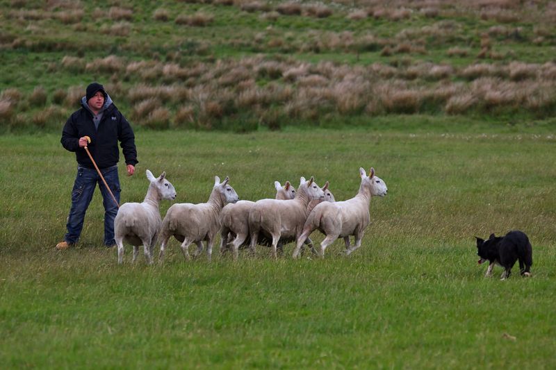 Cordless-Lawnmowers