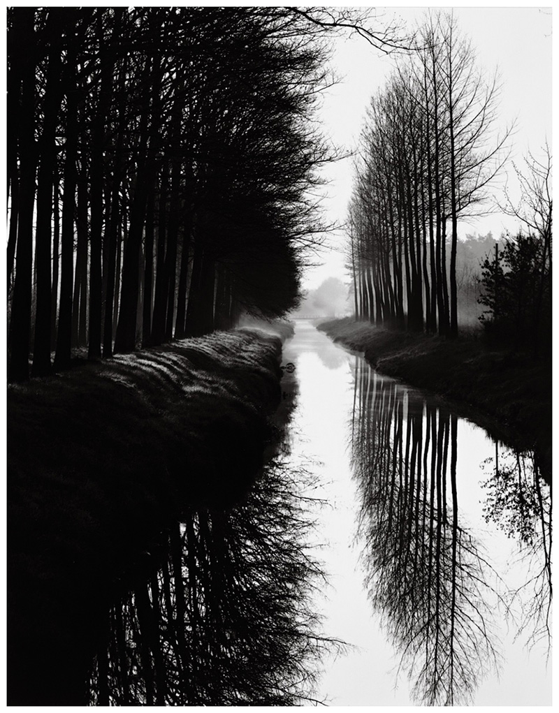 Brettweston
