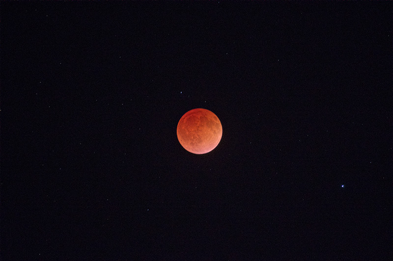 Gogginbloodmoon