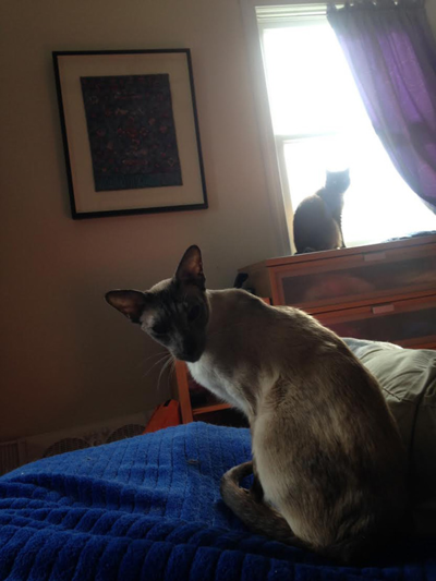 Georgie and Glen Coco